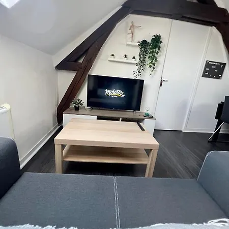 Bel Appartement Lumineux 35M2, Bord De Loire Saint-Jean-le-Blanc Extérieur photo