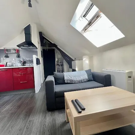Bel Appartement Lumineux 35M2, Bord De Loire Saint-Jean-le-Blanc Extérieur photo