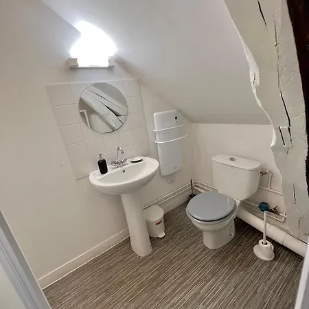 Bel Appartement Lumineux 35M2, Bord De Loire Saint-Jean-le-Blanc Extérieur photo