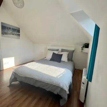 Bel Appartement Lumineux 35M2, Bord De Loire Saint-Jean-le-Blanc Extérieur photo