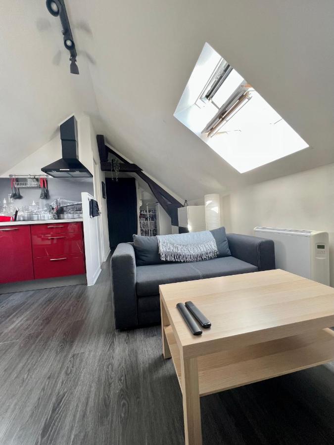 Bel Lumineux 35m2, Bord De Loire * Saint-Jean-le-Blanc