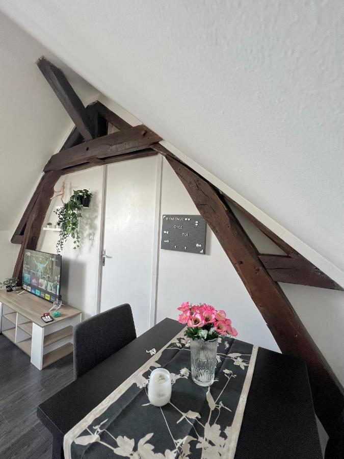 Apartment Bel Lumineux 35m2, Bord De Loire