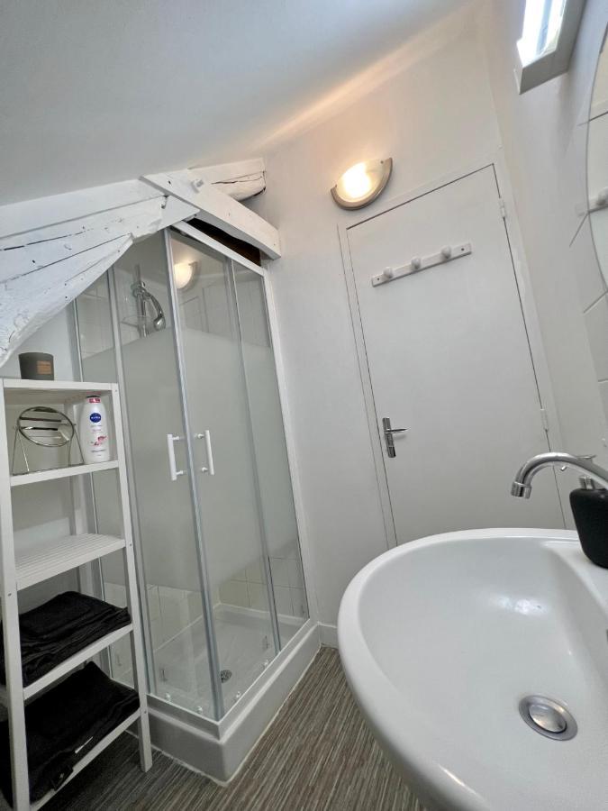 Bel Lumineux 35m2, Bord De Loire Apartment Saint-Jean-le-Blanc