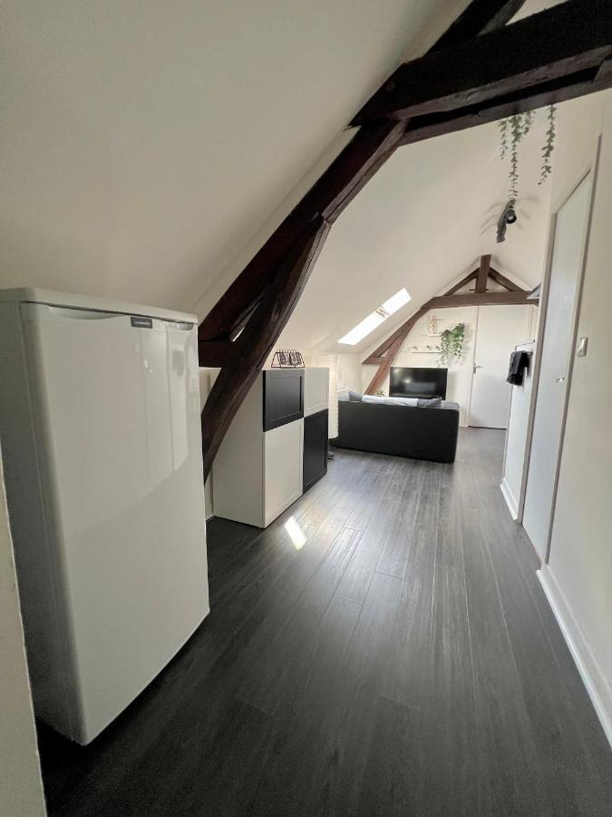 Bel Lumineux 35m2, Bord De Loire * Saint-Jean-le-Blanc