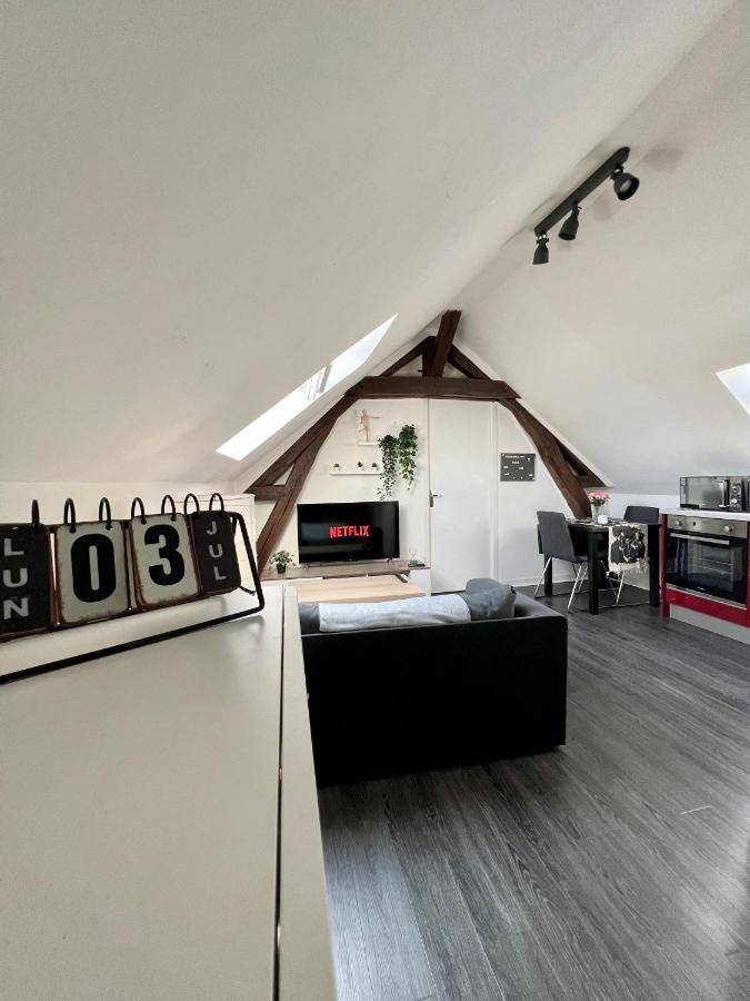 Apartment Bel Lumineux 35m2, Bord De Loire *