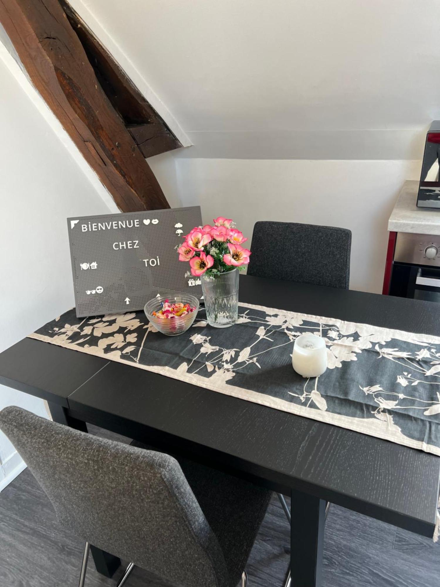 Bel Lumineux 35m2, Bord De Loire Apartment